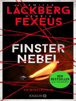 cover image of Finsternebel